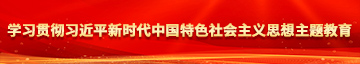 鸡巴日女人的视频学习贯彻习近平新时代中国特色社会主义思想主题教育